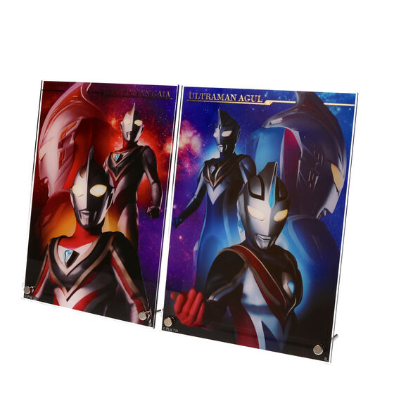 Eg}KCA tAN{[hiS2jyĔ́z