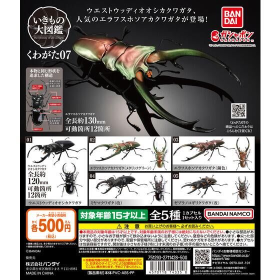 Encyclopedia of Creatures Kuwagata 07 | Gashapon Bandai Official 