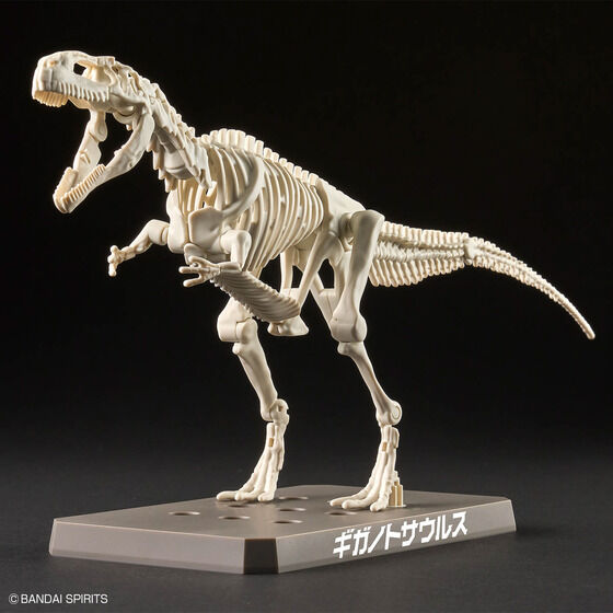 プラノサウルス ギガノトサウルス