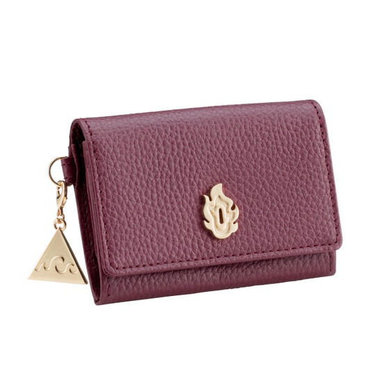 �S�ł̐n ���U�[�V���[�Y��2�e ���h�E�J�[�h�P�[�X�y2024�N3�������z