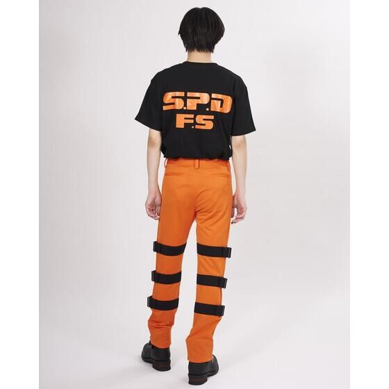 {fJW[@t@C[XNbhE]ːہ@TVc