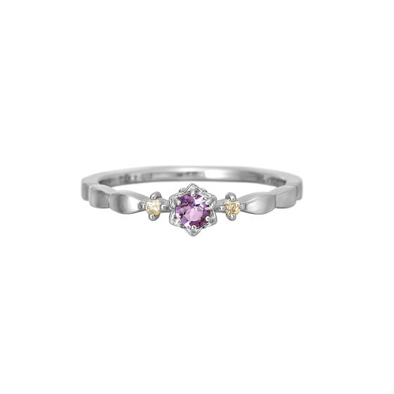 wVejX̉qlxTAKE-UP@so[Xf[LOO(Vo[)