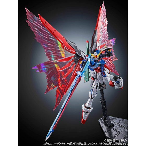 ＲＧ 1/144 デスティニーガンダム［チタニウムフィニッシュ］【再販】【２０２４年７月発送】