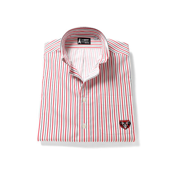 �V���E���ʃ��C�_�[�~���q�V���c�@�J�W���A���V���c ���ʃ��C�_�[