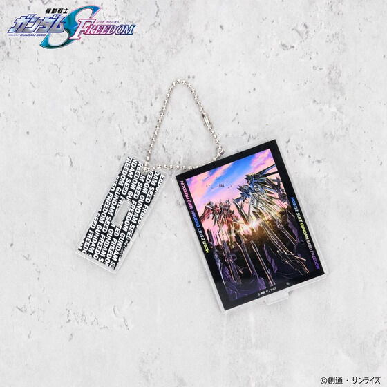 �@����m�K���_��SEED FREEDOM ���J�r�W���A�� �A�N�����X�^���h�`���[���y2024�N7�������z