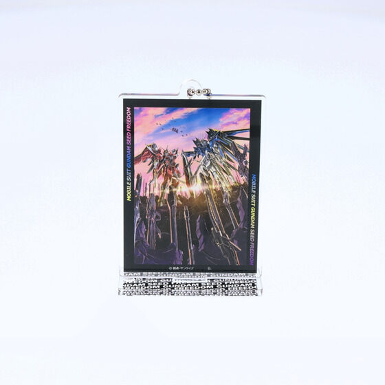 �@����m�K���_��SEED FREEDOM ���J�r�W���A�� �A�N�����X�^���h�`���[���y2024�N7�������z