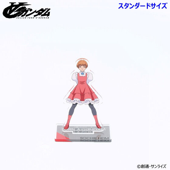 �̓K���_�� �A�N�����X�^���h �i�X�^���_�[�h�T�C�Y�j�i�S7��j