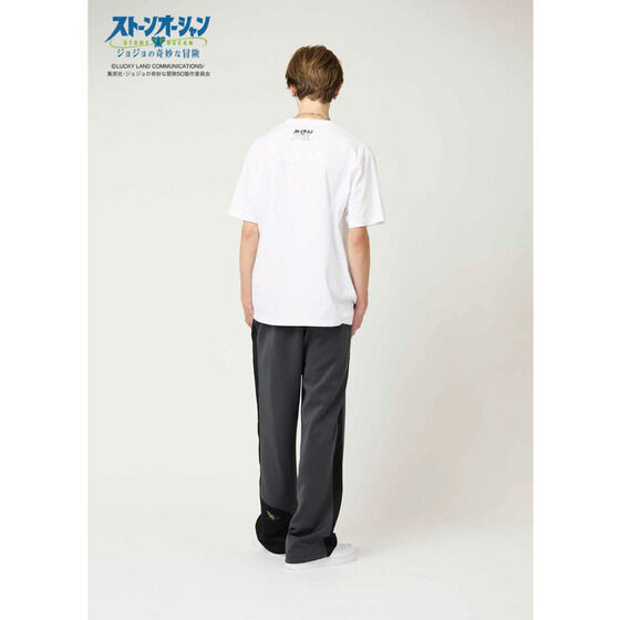 �w�W���W���̊�Ȗ`�� �X�g�[���I�[�V�����x �O���j�t T�V���c