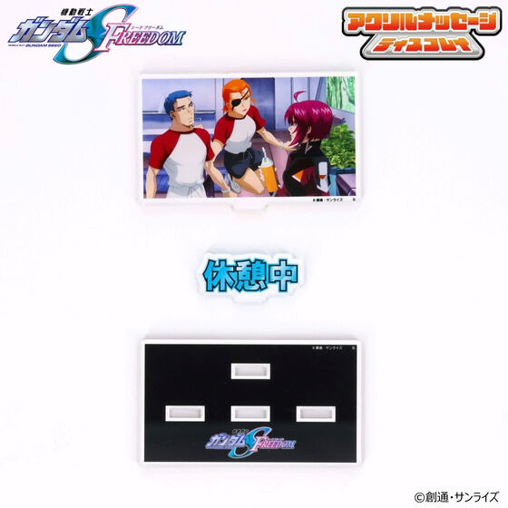 @mK_SEED FREEDOM dŎgANbZ[WfBXvCiS11j