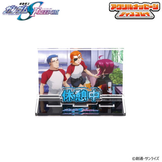 @mK_SEED FREEDOM dŎgANbZ[WfBXvCiS11j