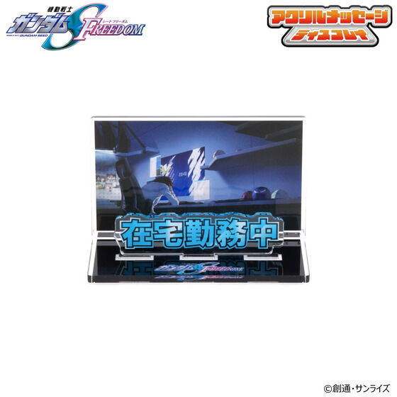 @mK_SEED FREEDOM dŎgANbZ[WfBXvCiS11j