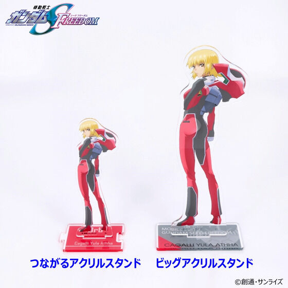 �@����m�K���_��SEED FREEDOM �r�b�O�A�N�����X�^���h ���e�i�S6��j