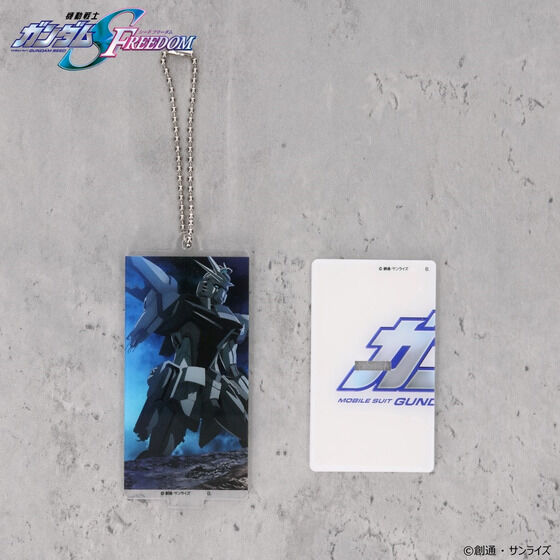 @mK_SEED FREEDOM Ȃ郀r`PCXg ANX^h`[ VOVer. y2024N11z