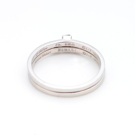 ���ʃ��C�_�[W�@���đ��Y&�t�B���b�v�@�i���̑��_�Z�b�g�����O