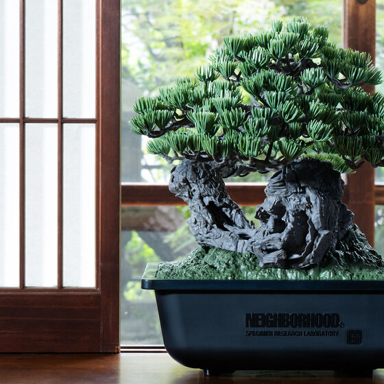 SRL X BANDAI SPIRITS . BONSAI MODEL KITyQFQOQTNTz