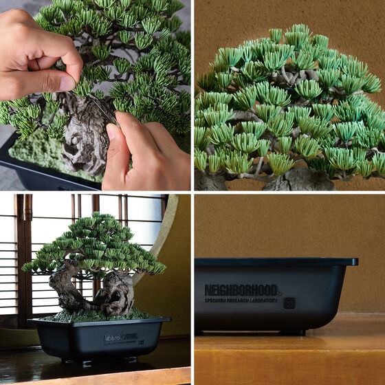 SRL X BANDAI SPIRITS . BONSAI MODEL KITyQFQOQTNTz