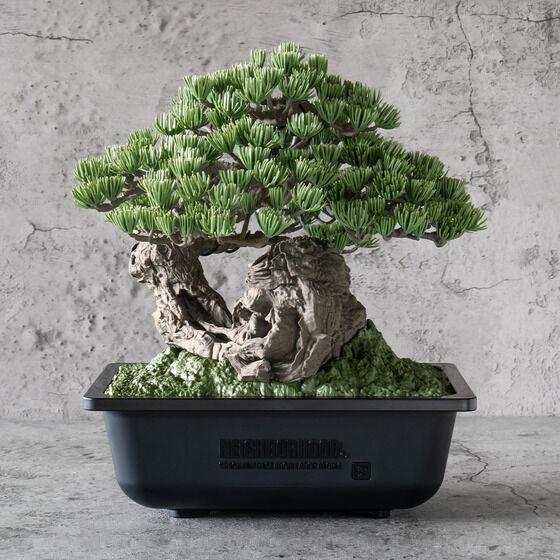 SRL X BANDAI SPIRITS . BONSAI MODEL KITyQFQOQTNTz