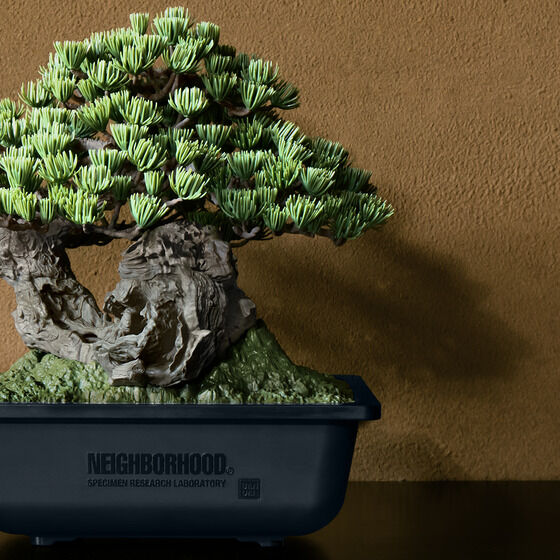 SRL X BANDAI SPIRITS . BONSAI MODEL KITyQFQOQTNTz