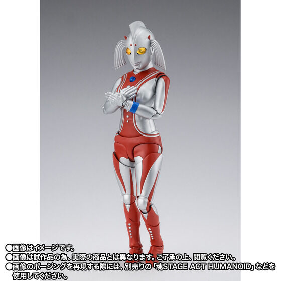 S.H.Figuarts Eg̕