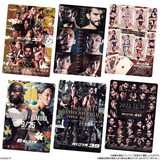 RIZIN |egXeBbN |X^[J[hRNV(10)