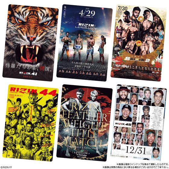 RIZIN |egXeBbN |X^[J[hRNV(10)