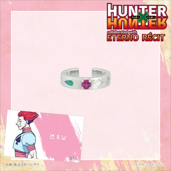 HUNTER~HUNTER~GemV@`[tC[JtiS6jiЎpjy9͂z