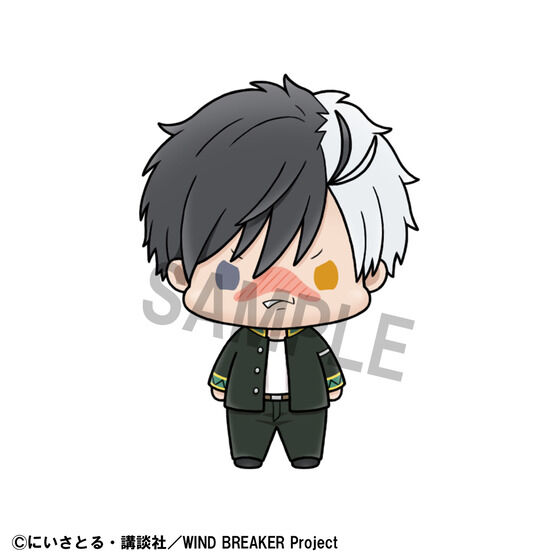 傱RNV WIND BREAKER vol.2 Zbg