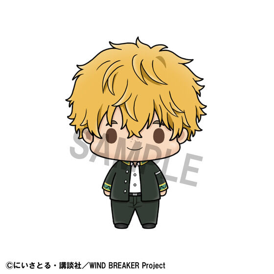 傱RNV WIND BREAKER vol.2 Zbg