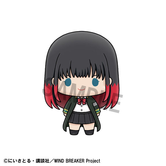 傱RNV WIND BREAKER vol.2 Zbg