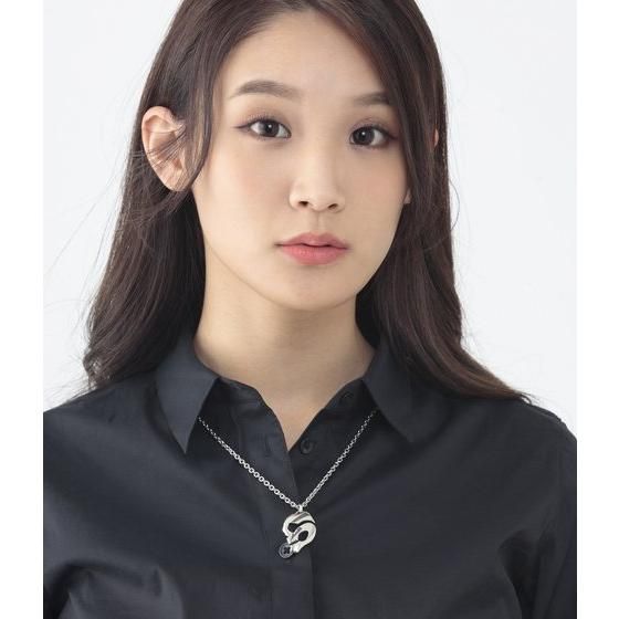 ʃC_[W@ʃC_[XJ@silver@y_g