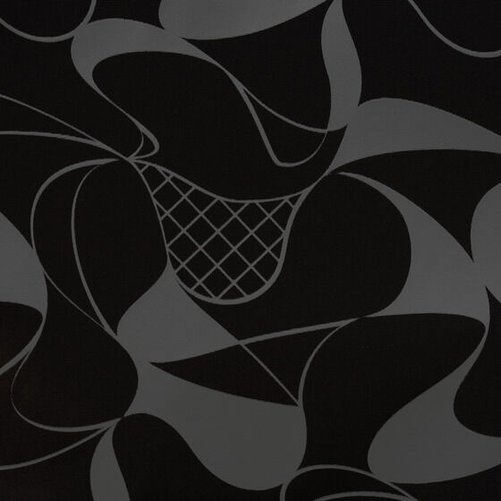  EܗY~OUTDOOR bNTbNy2025N7͂z