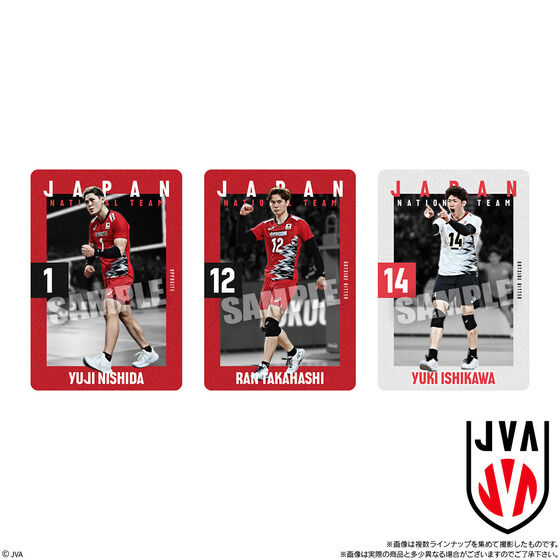 JAPAN NATIONAL VOLLEYBALL TEAM cCEGn[X 2025(20)