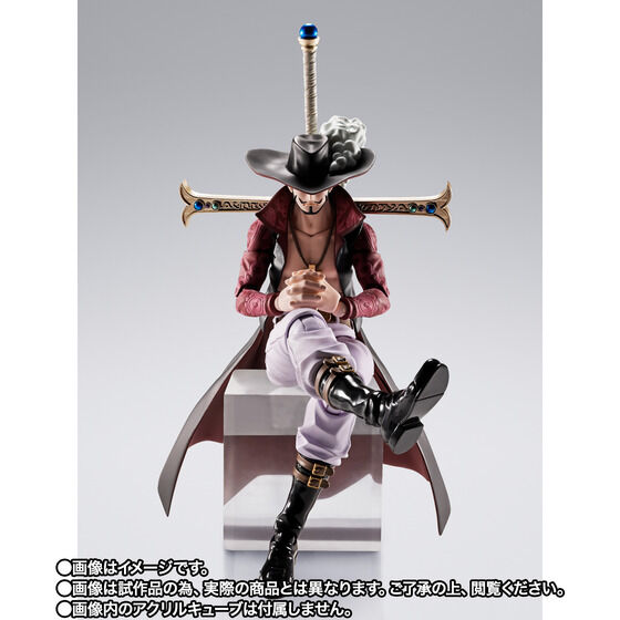 S.H.Figuarts WL[E~z[N -̖-