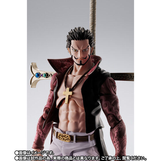 S.H.Figuarts WL[E~z[N -̖-