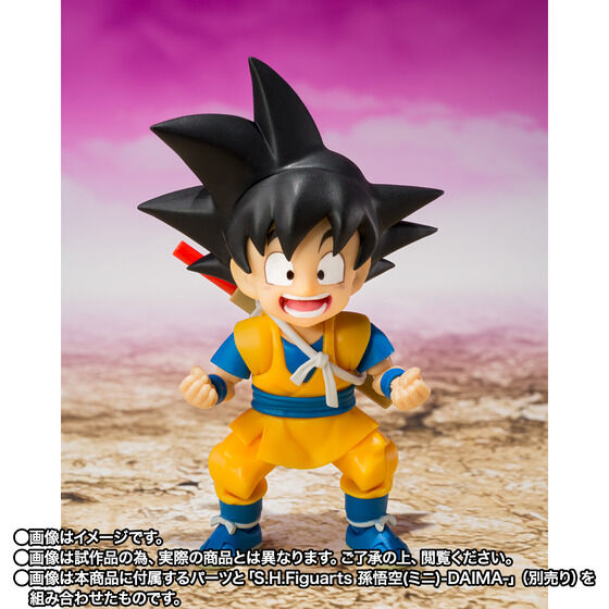 S.H.Figuarts OI