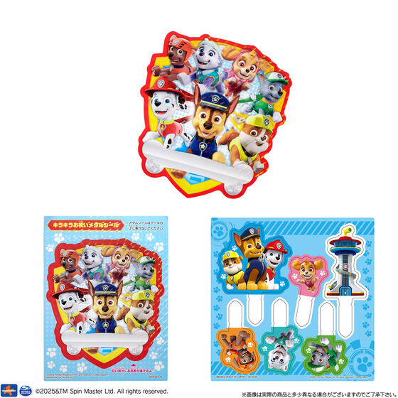 LfRp[eB[P[L pEEpg[(5TCY)