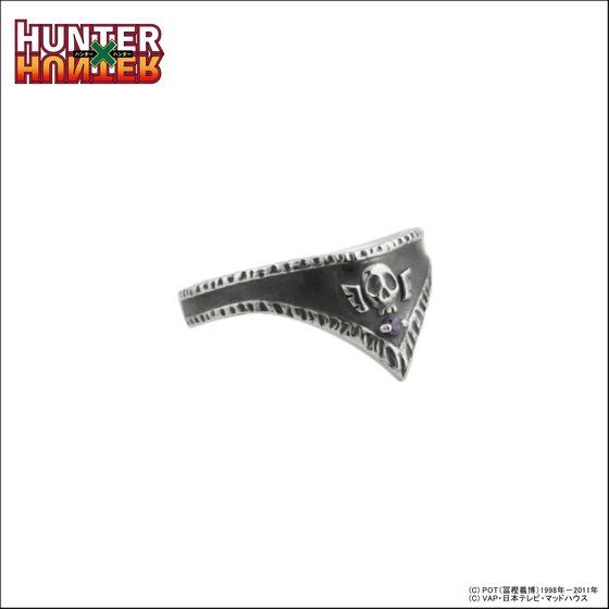 HUNTER~HUNTER~GemV@Oy11͂z
