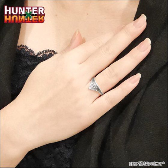 HUNTER~HUNTER~GemV@Oy11͂z