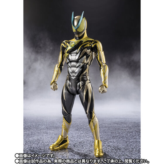 S.H.Figuarts ���ʃ��C�_�[�[�b�c �C�i�Y�}�v���Y�}
