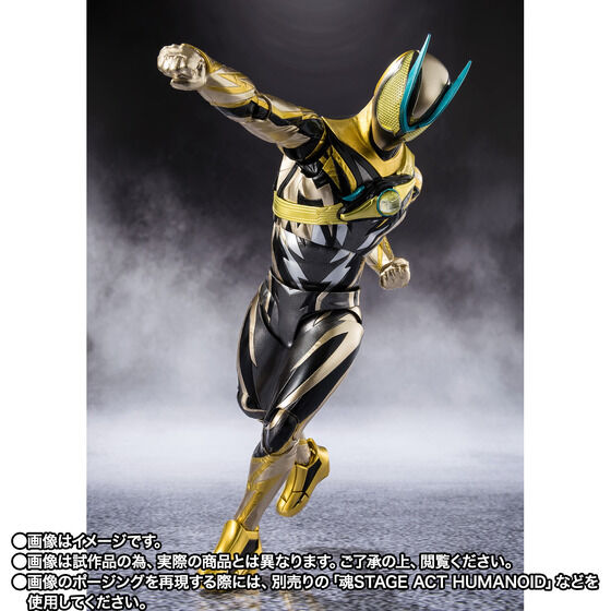 S.H.Figuarts ���ʃ��C�_�[�[�b�c �C�i�Y�}�v���Y�}