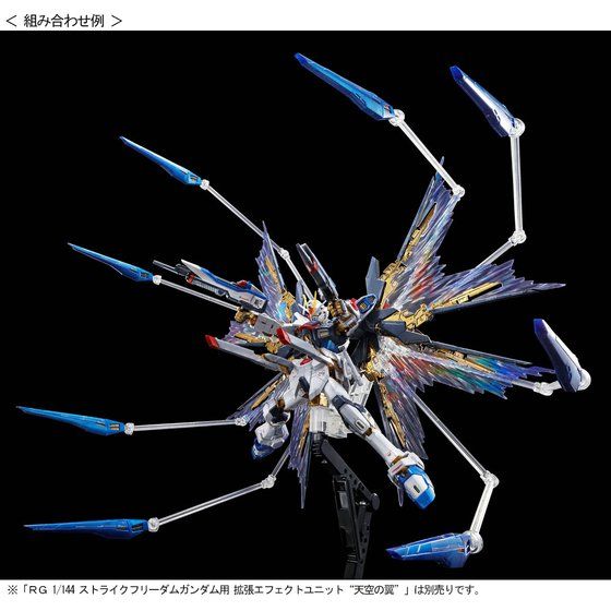 RG 　チタニウム　ストフリ　デスティニー　ディスティニー　翼　セット RGガンプラ「ストフリ」「デスティニー」のチタニウム