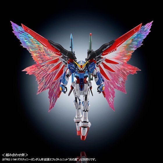 RG 1/144 デスティニーガンダム［チタニウムフィニッシュ