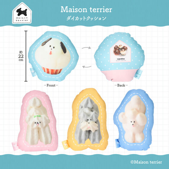 Maison terrier@َ̂q̃_CJbgNbVy11͂z
