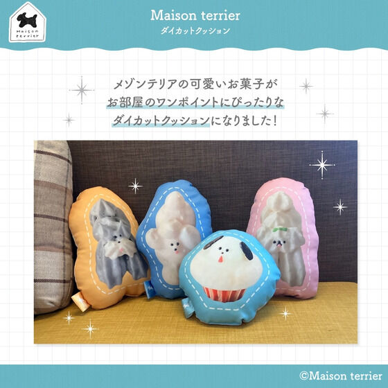 Maison terrier@َ̂q̃_CJbgNbVy11͂z