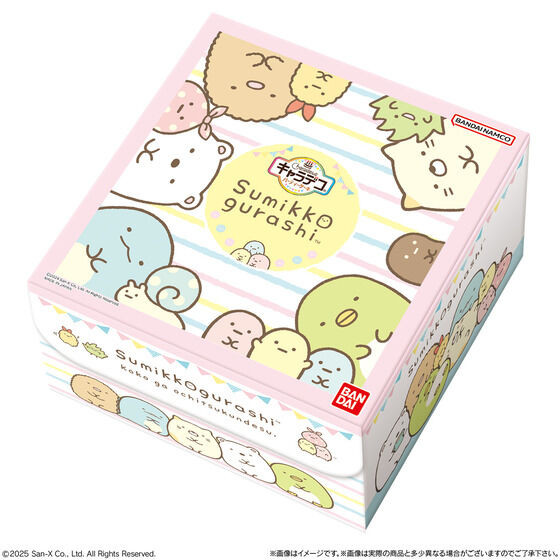 LfRp[eB[P[L ݂R炵 (`RN[)(5TCY)y2025N12ENX}X\z