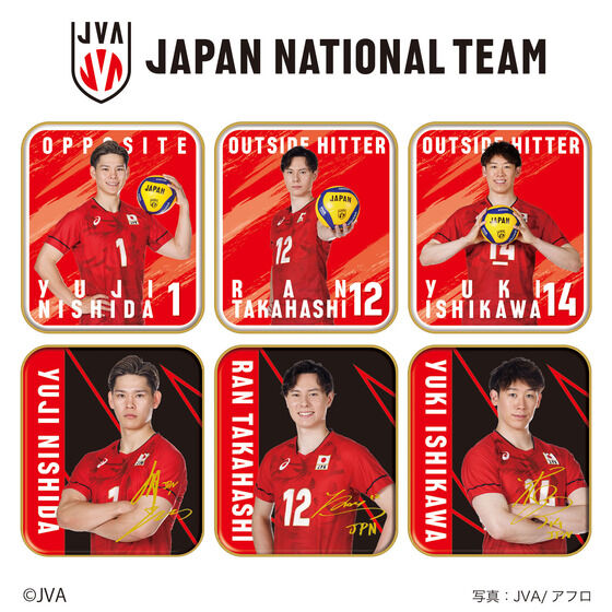 񂿂R o[{[jq{\i6Zbgj