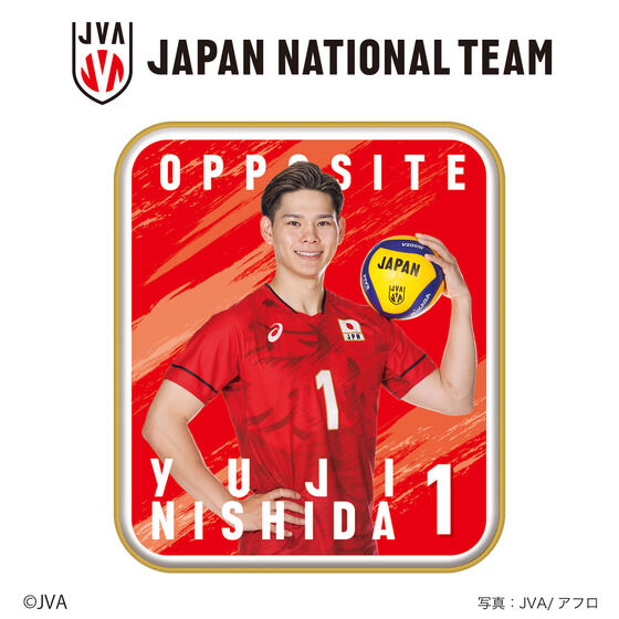 񂿂R o[{[jq{\i6Zbgj