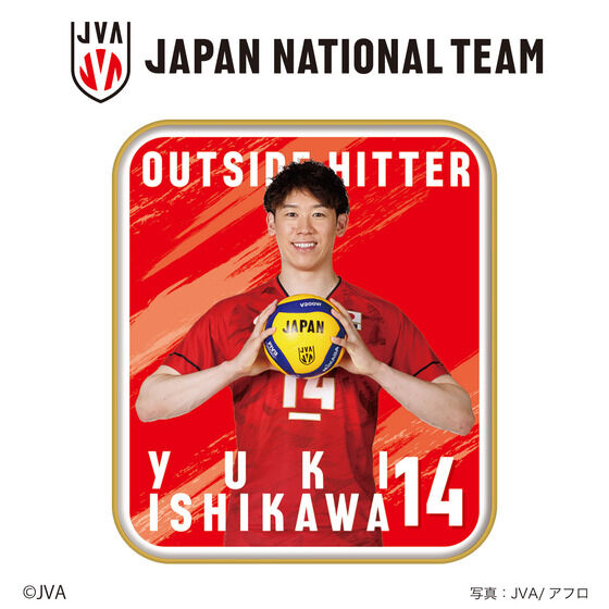 񂿂R o[{[jq{\i6Zbgj