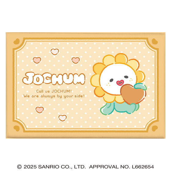 �i�n�b�g�t�l �c�C���M�t�g�i11��Z�b�g�j