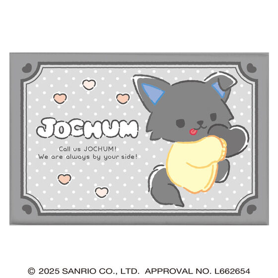 �i�n�b�g�t�l �c�C���M�t�g�i11��Z�b�g�j